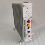 BDR-3000W220V防爆取暖电暖气