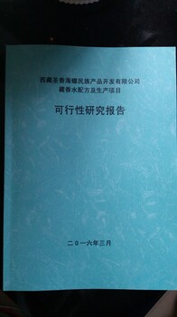 做可行性报告本地代做可行的公司