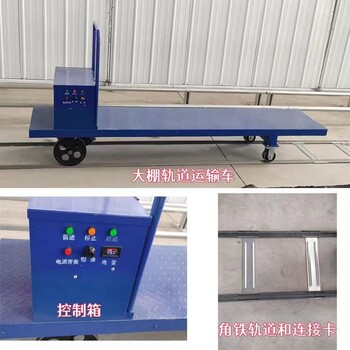 溫室大棚軌道運(yùn)輸車大棚運(yùn)菜小火車