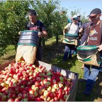 陜西漢中誠邀出國打工包吃住帶薪休假年薪40萬以上