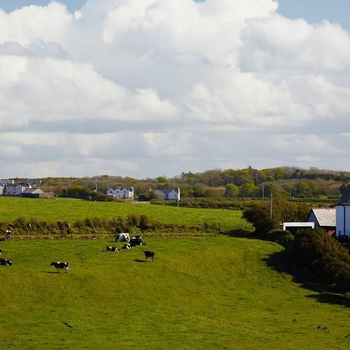 爱尔兰农场招日照东港区出国工作带薪年假合法工签