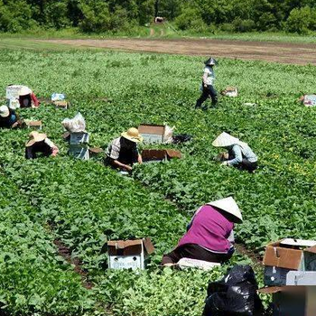 出国务工不下签退全款湖北黄冈包吃包住上六休一工资月结