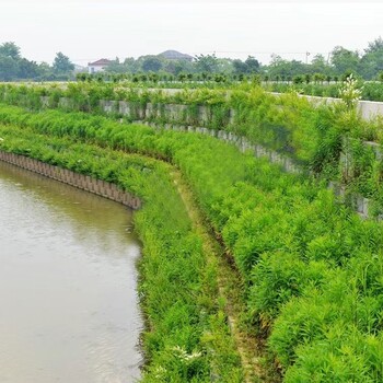 桂林灵川生态植生挡土墙生态护坡块