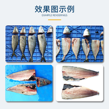 南京鱼片生产线