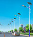 光伏太阳能路灯6米8米LED乡村道路户外灯