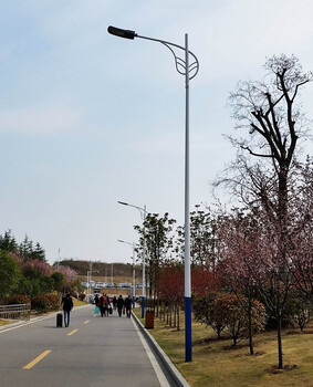 黎城220VLED道路燈安裝施工銷售報價