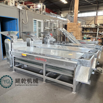 青茶籽剝殼機,家用220v油茶籽剝皮機,新三代無損干濕茶果去皮機
