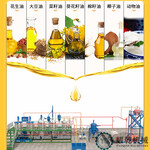 新疆核桃油生产线,0.5-200吨多油料精炼设备,棉籽油去毒炼制机器