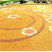 浙江台州生产彩色透水混泥土路面防滑地面材料施工艺术地坪