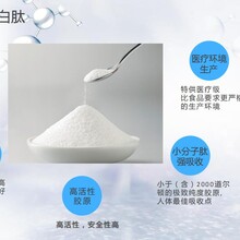 上海ipp胶原蛋白肽原料供应可代加工生产免费寄样