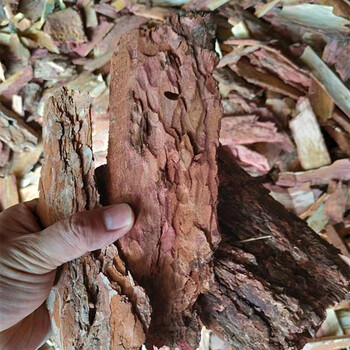 生物除臭松樹皮填料廠家供應(yīng)用途廣歡迎咨詢