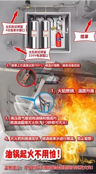 厨房自动灭火装置悬挂式干粉灭火器火探管感温自启动灭火装置系统