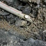 東莞地下水管漏水測漏水服務。家用管線漏水檢測價格