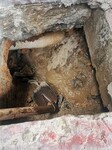 东莞暗埋水管漏水检测，房子漏水管道查漏，地下漏水点维修