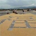 上海公園透水膠粘石地坪3-5顆粒膠粘石膠水廠家批發(fā)價(jià)