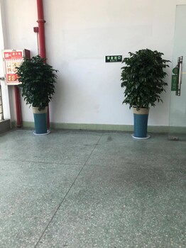 東莞常平市政綠植養(yǎng)護植物租擺,匯安綠植租賃
