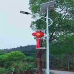 湖北宜昌40瓦太阳能路灯太阳能LED路灯