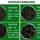 發發助手