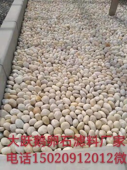 福州台江区净水处理鹅卵石垫层生产基地