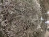 陶瓷镀金回收价,陶瓷镀金回收利用商家,苏州陶瓷镀金收购