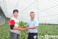 潍坊中耕未来农业科技有限公司