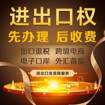 上海地區(qū)審辦進出口資質(zhì)全程解析