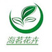 河北黑麥草種子海茗花卉