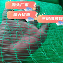 廣東佛山三維植被網(wǎng)湛江三維植被網(wǎng)廣東篩網(wǎng)廣東篩網(wǎng)廠(chǎng)