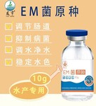 净化水质用什么效果好EM菌原种怎么样