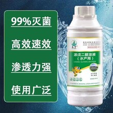 浓戊二醛溶液水产养殖用99%灭菌水体净化消毒
