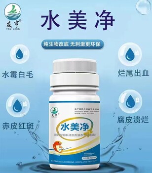 水霉病症状/水霉病治疗方案/水美净功效与用法