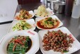 廣州涼菜口感想來開胃各地受捧汕頭仟味餐飲培訓