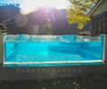 景區泳池建設方案-安全舒適泳池設計方案