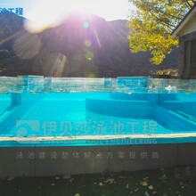 景區泳池建設方案-安全舒適泳池設計方案圖片