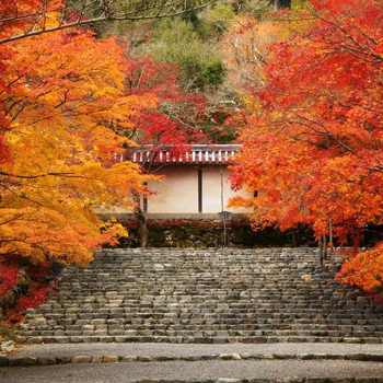 智利当地的基本介绍