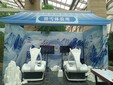 長春市VR滑雪出租VR蛋椅租賃VRVR沖浪租賃圖片