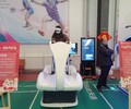 承德VR賽車模擬器出租VR天地行VR滑雪租賃VR劃船
