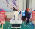 VR蛋椅出租VR震动租赁VR划船机出租VR摩托车出租