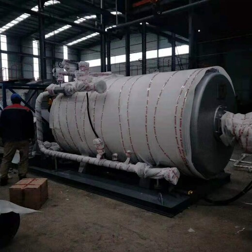 20萬大卡天然氣導熱油爐鍋爐制造商-廠家