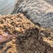 武汉黄沙批发价格多少钱一吨天然砂河砂厂家供应