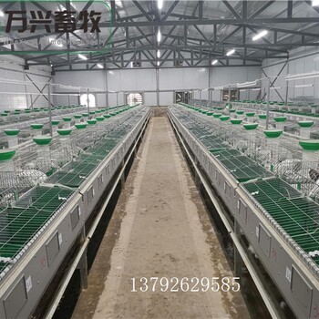 青年兔籠養(yǎng)殖場用兔籠手動繁育一體兔籠