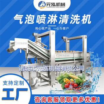 番茄氣泡清洗機(jī),蔬菜氣泡清洗流水線,全套果蔬加工設(shè)備
