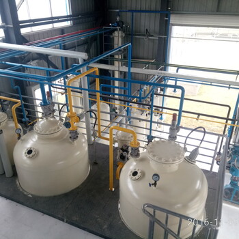 蒜头果油加工设备亚临界萃取生产线蒜头果油精炼设备
