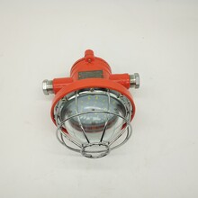 18WLED支架灯矿用隔爆型LED支架灯DGC18/127L(A)铸钢材质