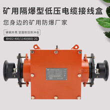BHD2-400/1140(660)-4G矿用隔爆型低压电缆接线盒