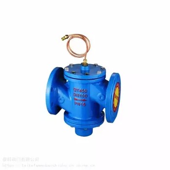 泰科閥門(mén)ZY47F自力式壓差控制閥