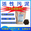 厭氧活性污泥污水處理活性污泥