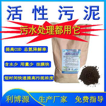 厭氧活性污泥污水處理活性污泥