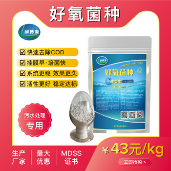污水處理藥劑降COD好氧菌種