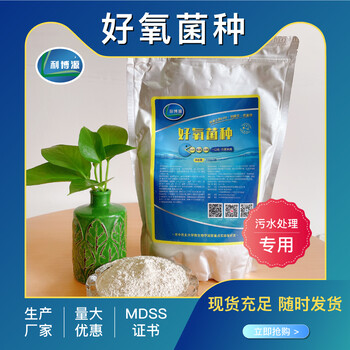 污水處理藥劑降COD好氧菌種